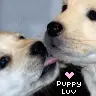 puppy love