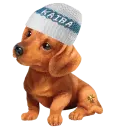 CUTE DOG KAIBA