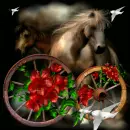 horse