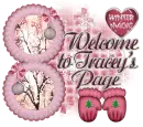 Welcome to Tracey's page