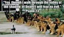 Thou Not Fear
