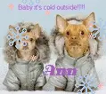 chi ann