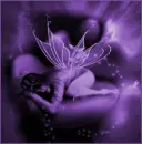fairy dreams
