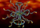 Dna
