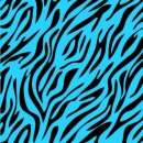 Blue zebra 2