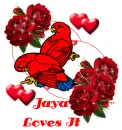 jaya loves it