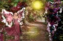 fairy