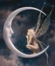 Fairy