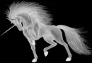 spirit of the unicorn morphed