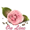 Pink Rose On Line