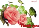 thak you 