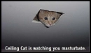 Ceiling Cat is watching you