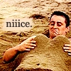 Joey