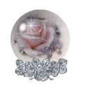 Pink Rose Globe