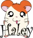Haley