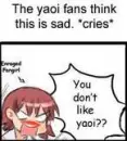 Angry Yaoi fangirl
