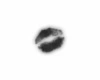 black kiss