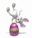 cute bunny