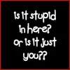 stupid