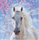 white horse morph