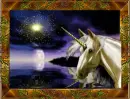 unicorn in gold frame morph