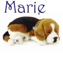 Marie