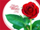 Let Love Take Over