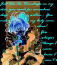 *â™¥~Raindrops~â™¥*