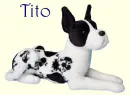 Tito