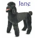 Jane