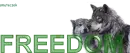 freedom 