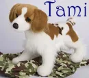 Tami