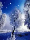 surrealsnow