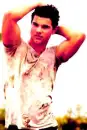 taylor lautner