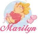 NAME MARILYN/DIVA PIG