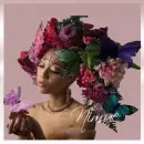 nimue butterfly hat morph