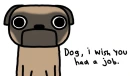 job dog?