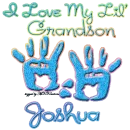 I Love My Lil' Grandson -Joshua-