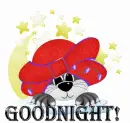 Goodnight