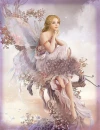 lady