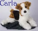 Carla