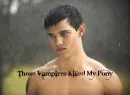 Thye Killed My Pony (Twilight)