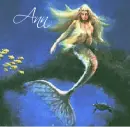ann mermaid