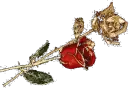 Two