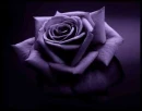 per te