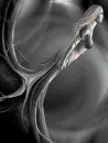 Desire