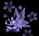 Fairy