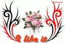 I like it 