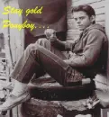 Stay gold ponyboy