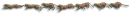 Leopard Divider
